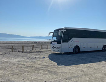 Organizasyonlarımız