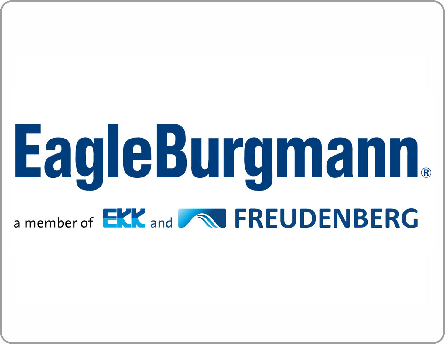 EagleBurgmann